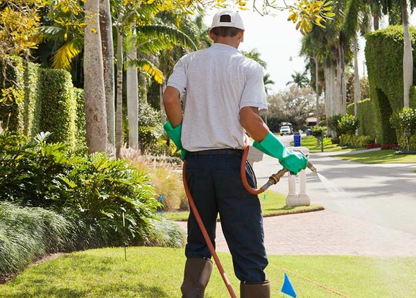 About Kinde MI Pest Control
